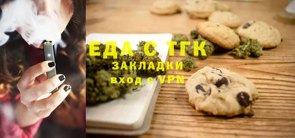 индика Карпинск