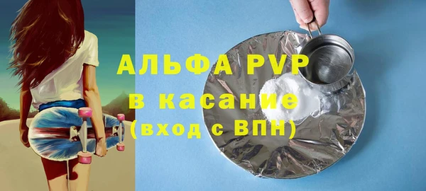 индика Карпинск