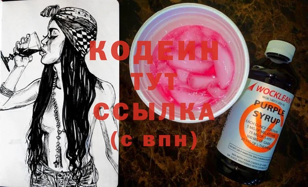 индика Карпинск