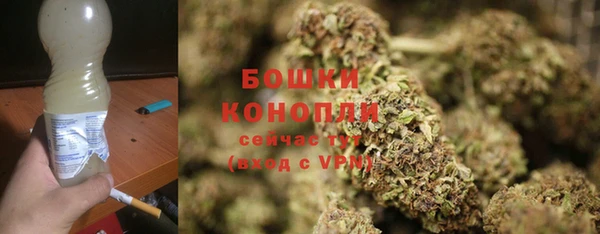индика Карпинск