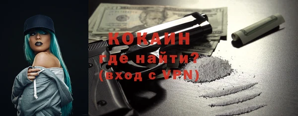 индика Карпинск