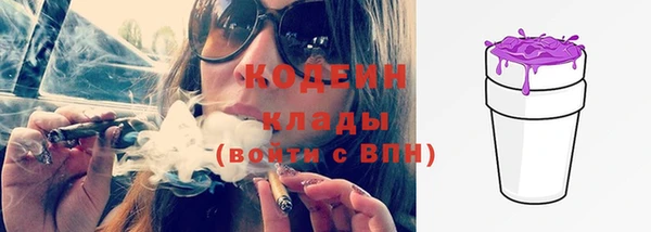 индика Карпинск
