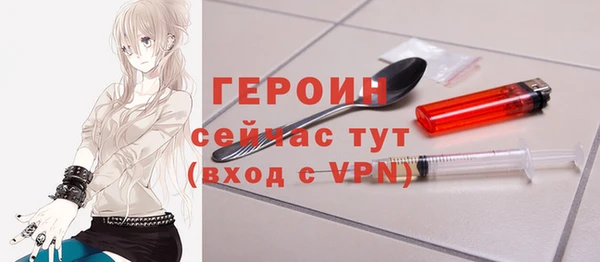 индика Карпинск