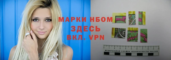индика Карпинск