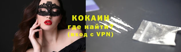 индика Карпинск
