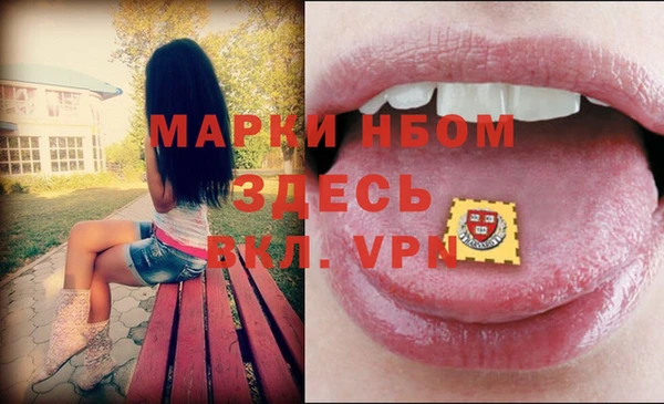 индика Карпинск
