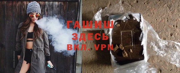 индика Карпинск