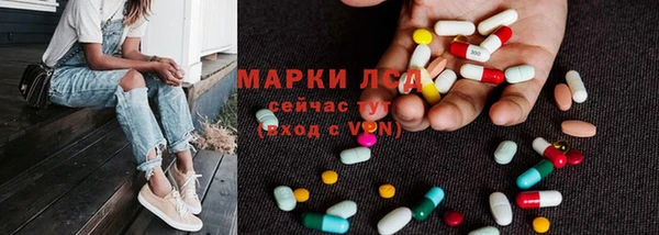 индика Карпинск
