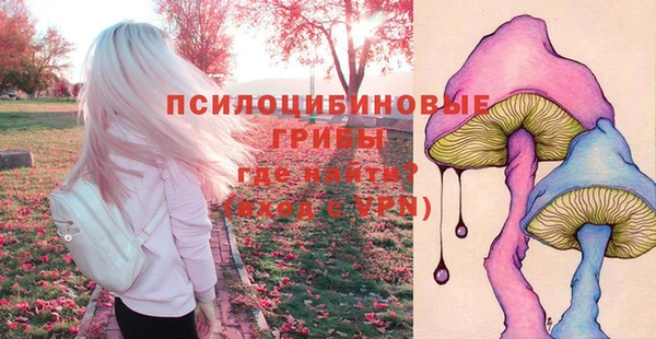 индика Карпинск
