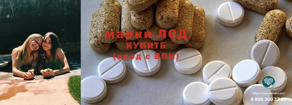 индика Карпинск