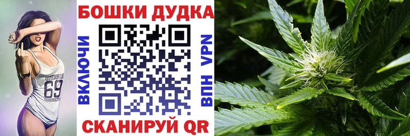 Купить где  Заволжск  МАРИХУАНА LSD WEED 